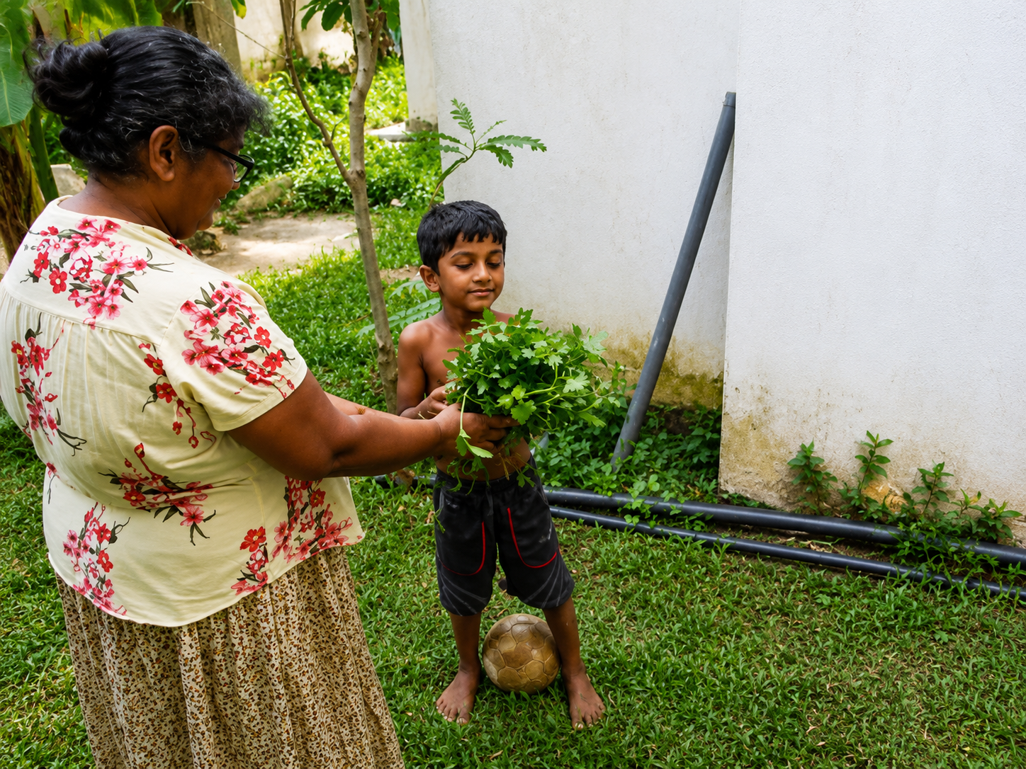 Free Vegetables Sri lanka